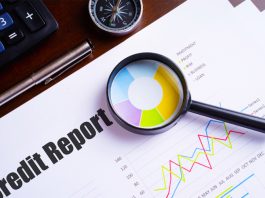 Company Credit Report