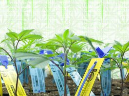 seed to sale